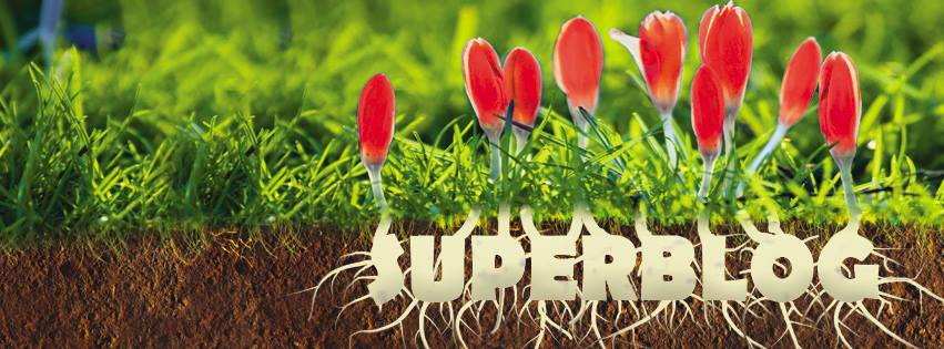 Creativitatea prinde radacini in competitia Spring SuperBlog 2016